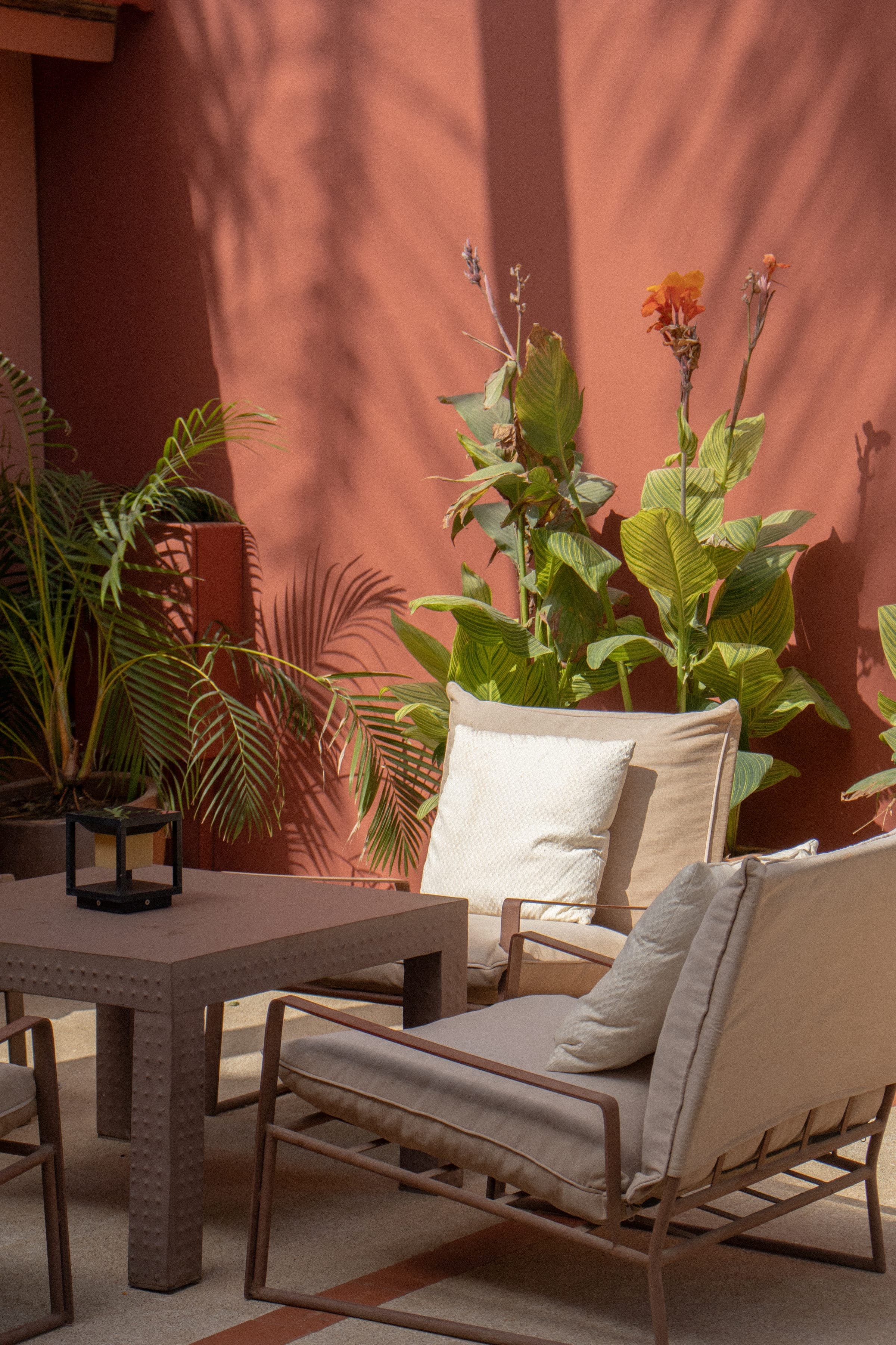 Salon de jardin du patio de Gorée Suites entouré de plantes fleuries